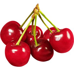 شیوه درست ذخیره میوه
