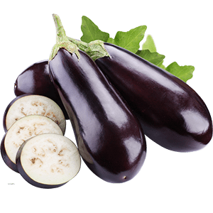 بادمجان بادنجان eggplant