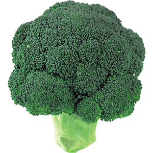 کلم بروکلی broccoli