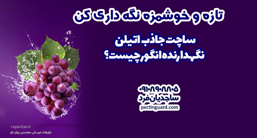 ساچت جاذب اتیلن نگهدارنده انگور چیست؟