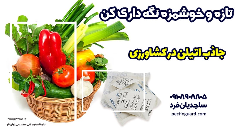 جاذب اتیلن در کشاورزی دستاوردهای بسیار ایده آل و مناسبی را برای کشاورزان به دنبال خواهد داشت. همچنین درآمد آن ها را نیز افزایش خواهد داد.