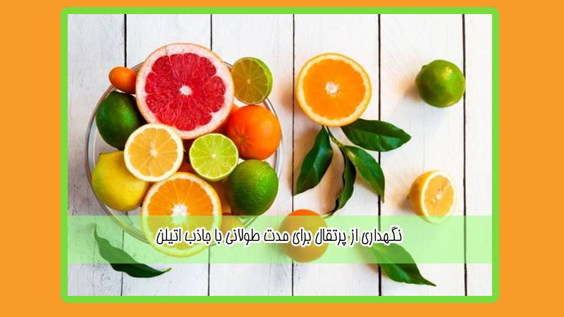 نگهداری نارنگی برای مدت طولانی