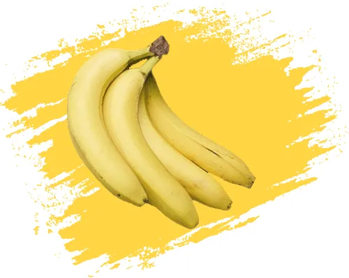 خرید-نگهدارنده-میوه-موز