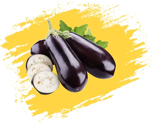 نگهدارنده میوه بادمجان بادنجان eggplant