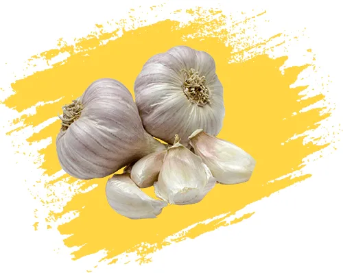 نگهدارنده میوه سبزیجات سیر garlic