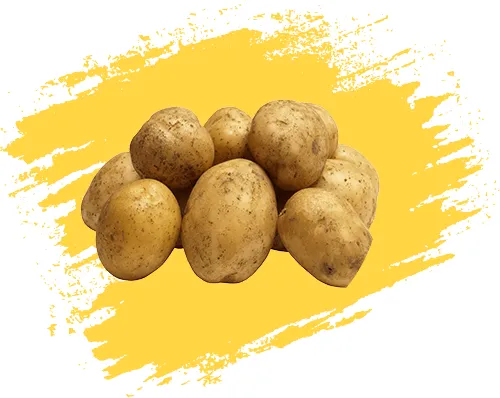 سیب زمینی