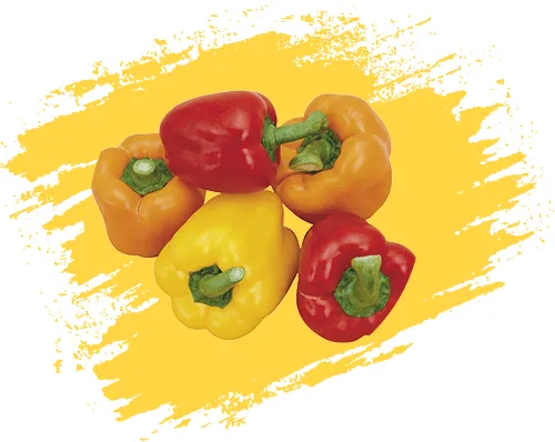 نگهدارنده میوه فلفل دلمه Bell Pepper