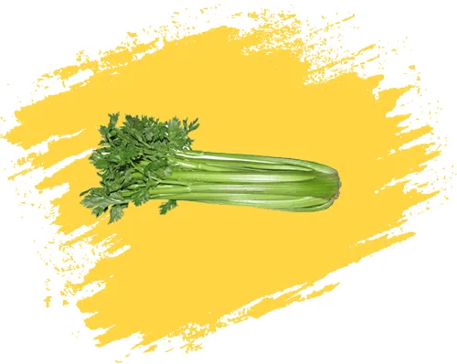 نگهدارنده میوه کرفس celery