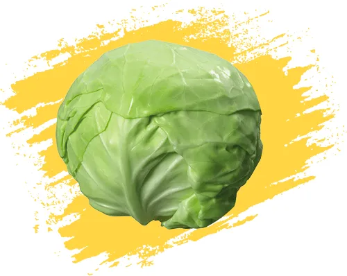 نگهدارنده میوه کلم