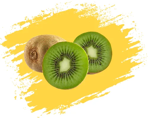نگهدارنده میوه کیوی Kiwifruit