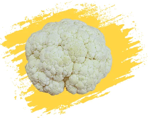 نگهدارنده میوه گل کلم cauliflower