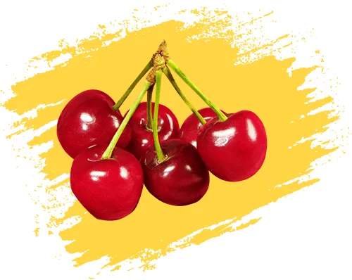 نگهدارنده میوه گیلاس