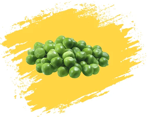 نگهدارنده نخود فرنگی