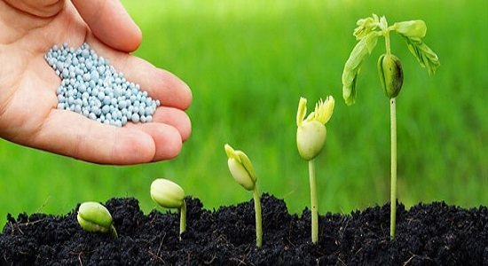 مواد جاذب رطوبت در کشاورزی – فروش جاذب رطوبت کشاورزی