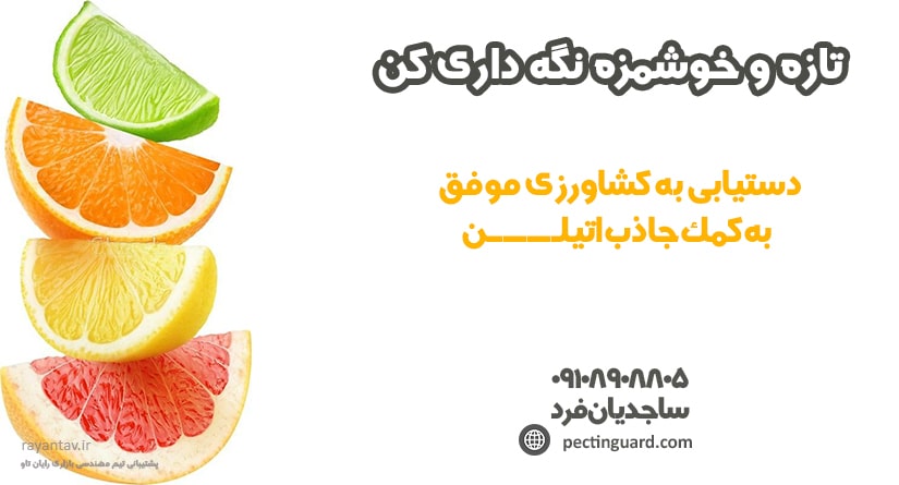 دستیابی به کشاورزی موفق به کمک جاذب اتیلن