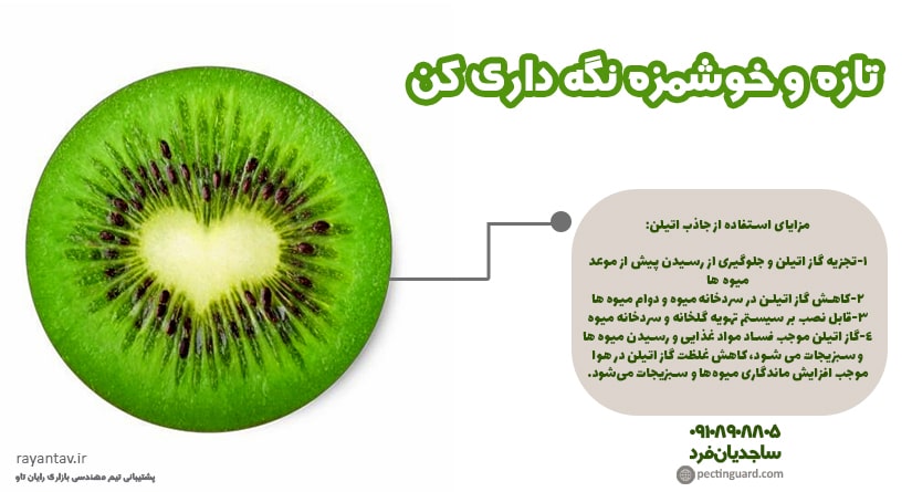 فواید جاذب اتیلن در سردخانه‌ها و انواع میوه‌ها
