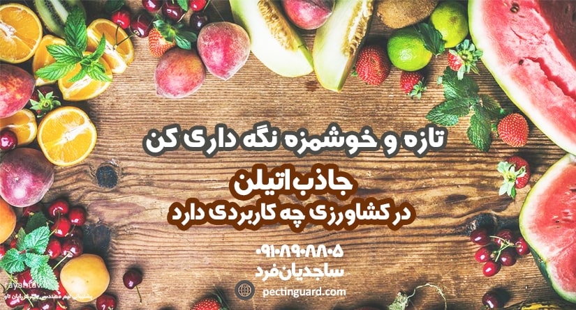 جاذب اتیلن در کشاورزی چه کاربردی دارد؟