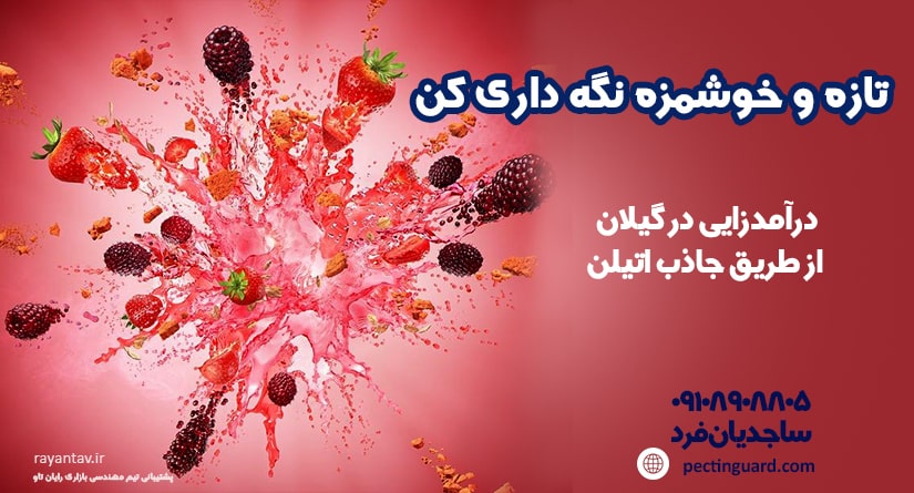 درآمدزایی در گیلان از طریق جاذب اتیلن