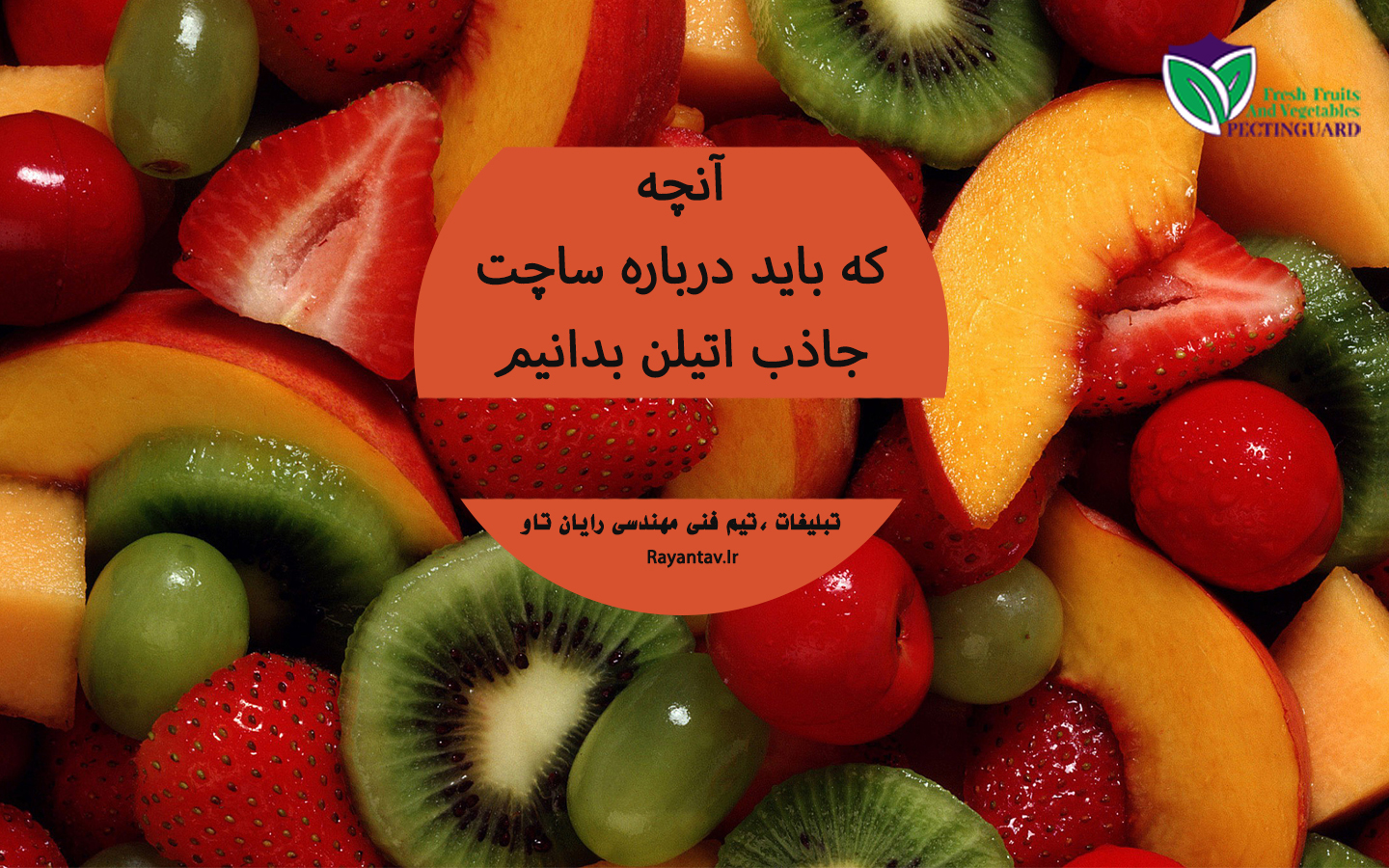 ساچت جاذب اتیلن چیست و درباره آن ✅ ( فروش انواع جاذب اتیلن ) اگر شما هم دوست دارید درباره ی ساچت جاذب اتیلن بدانید یا اطلاعاتی کسب کنید در ادامه با ما همراه باشید 