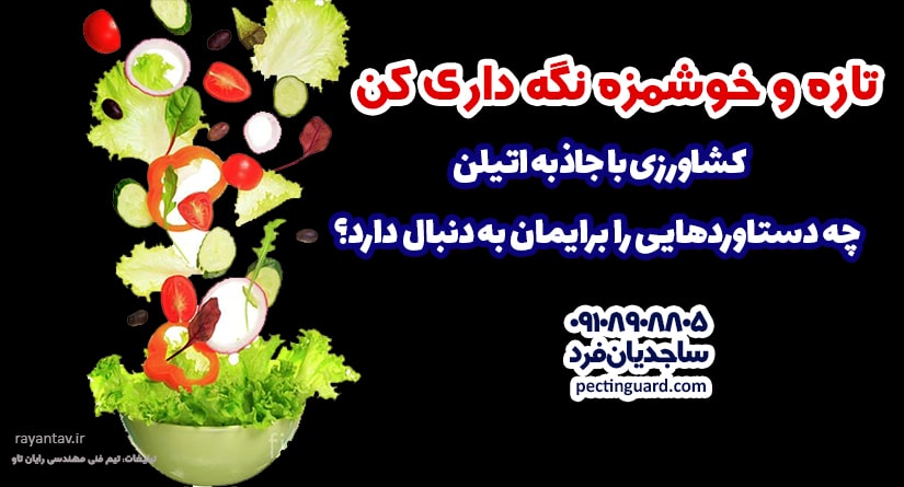 کشاورزی با جاذب اتیلن چه دستاوردهایی را برایمان به دنبال دارد؟