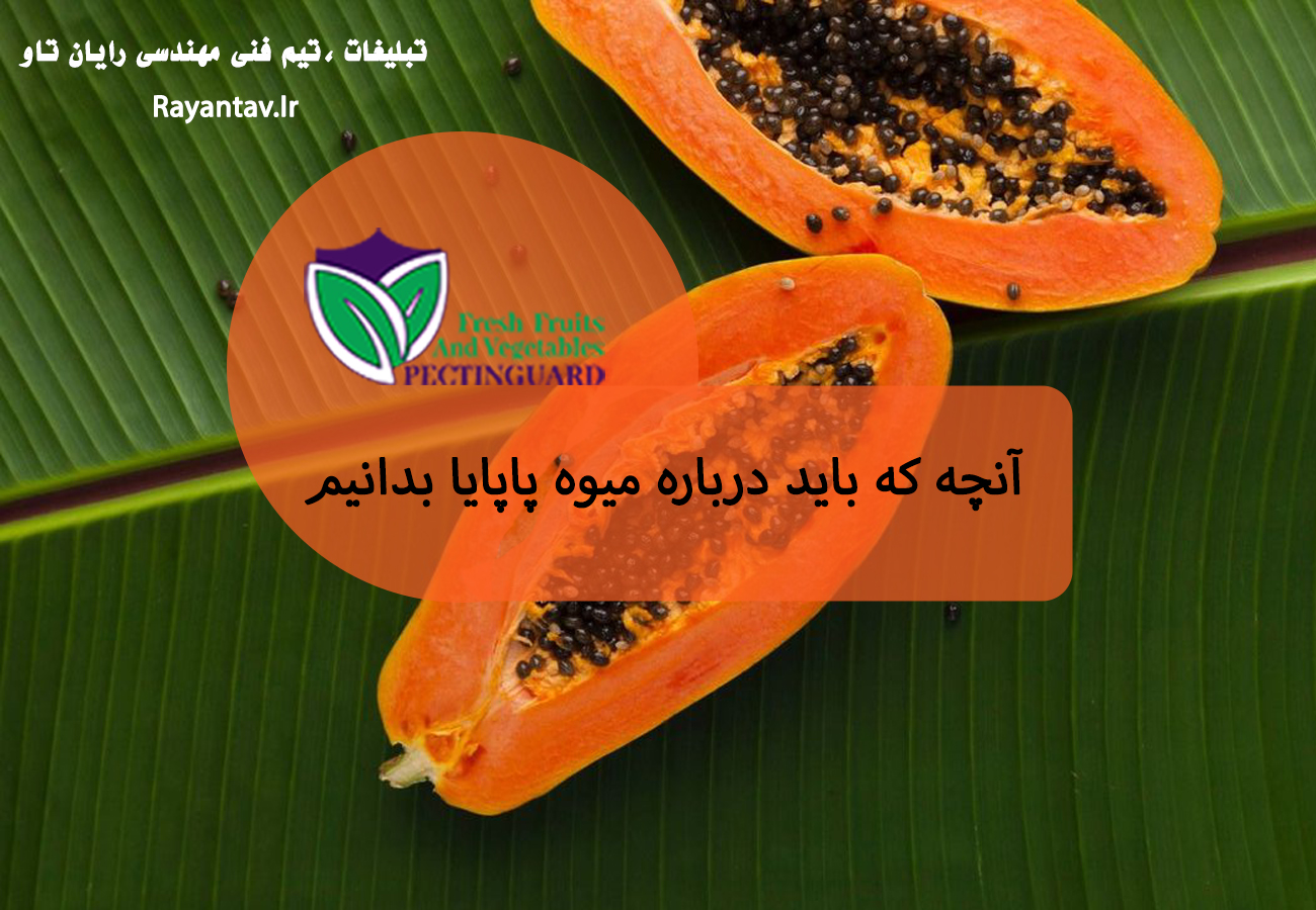 میوه خارق العاده پاپایا چیست و چه خواصی دارد  ✅