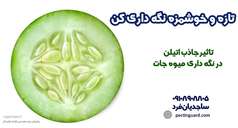 تاثیرات جاذب اتیلن در نگهداری میوه‌ها چه مواردی را شامل می‌شود؟