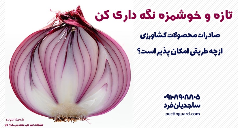صادرات محصولات کشاورزی از چه طریقی امکان پذیر است؟