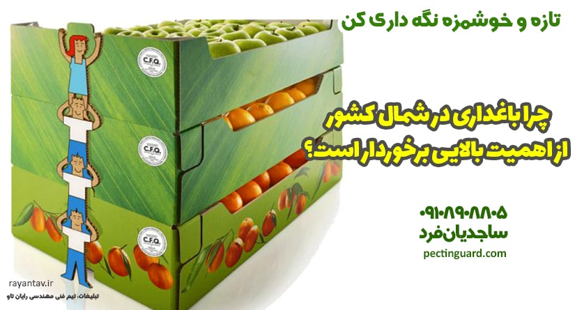 چرا باغداری در شمال کشور از اهمیت بالایی برخوردار است؟