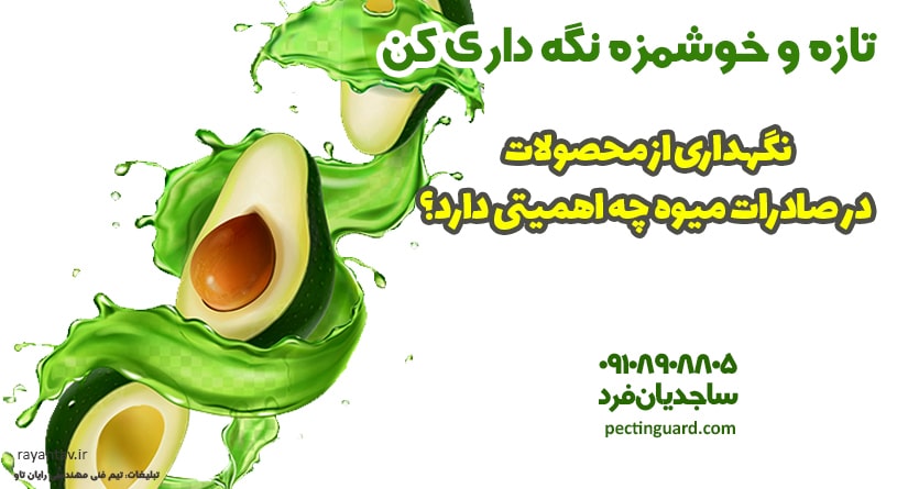 نگهداری از محصولات در صادرات میوه چه اهمیتی دارد؟
