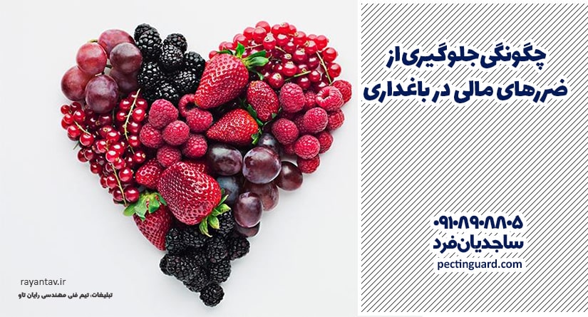 چگونگی جلوگیری از ضررهای مالی در باغداری