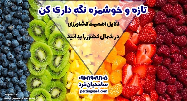 دلایل اهمیت کشاورزی در شمال کشور را بدانید