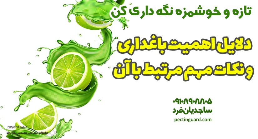 دلایل اهمیت باغداری و نکات مهم مرتبط با آن