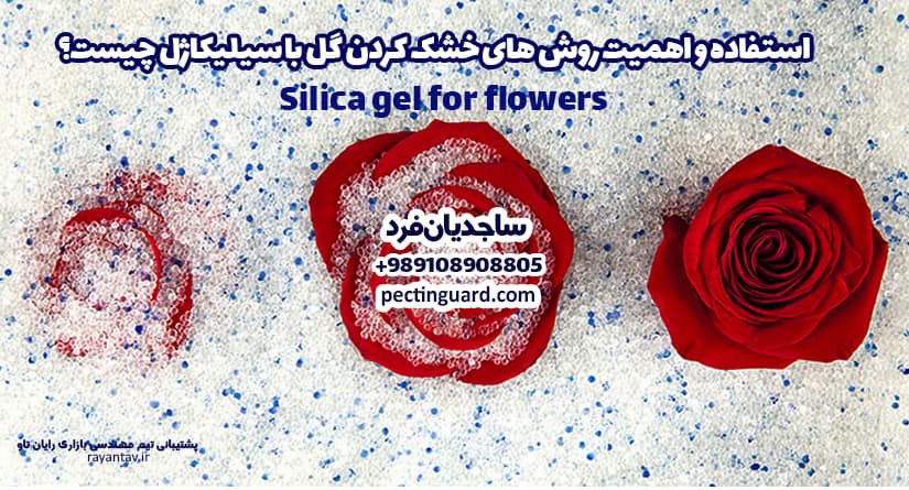 آموزش خشک کردن گل با سیلیکاژل- کاربرد سیلیکاژل برای گل