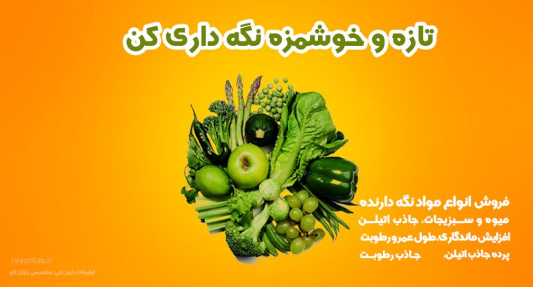 ۶ تکنیک جالب برای افزایش ماندگاری سبزی – با این ترفندها ماندگاری سبزیجات را افزایش دهید