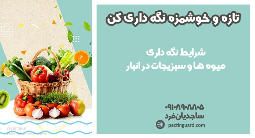 شرایط نگهداری میوه ها و سبزیجات در انبار