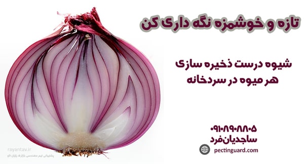 شیوه درست ذخیره سازی هر میوه در سردخانه
