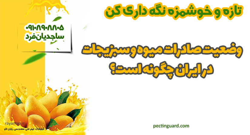 وضعیت صادرات میوه و سبزیجات در ایران چگونه است؟