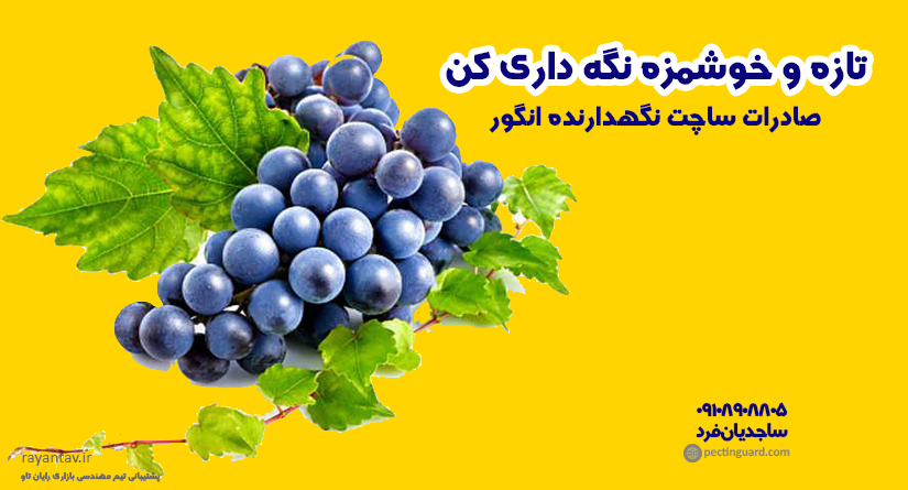 صادرات ساچت نگهدارنده انگور