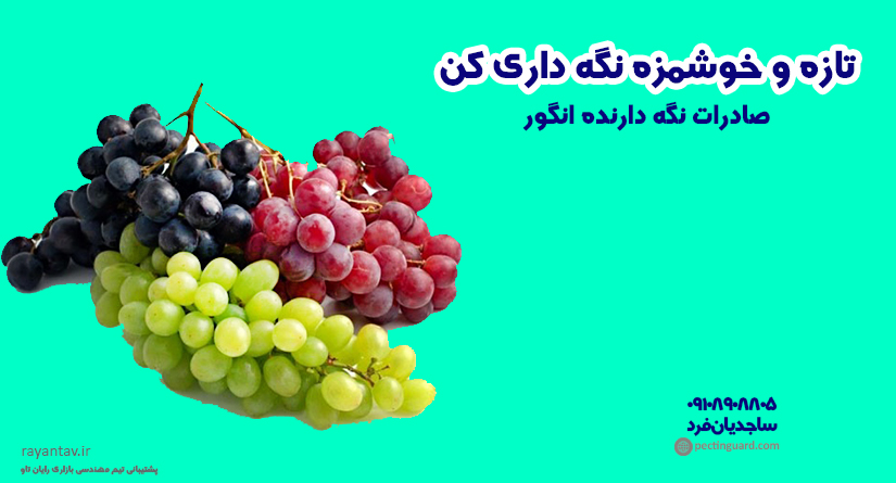 صادرات نگهدارنده انگور