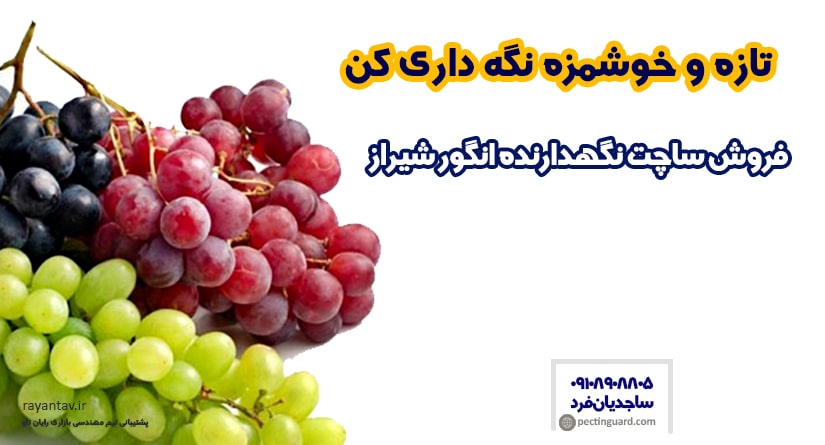 فروش ساچت نگهدارنده انگور در شیراز