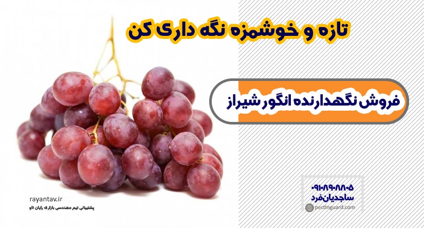 نگهدارنده انگور در شیراز و استان فارس
