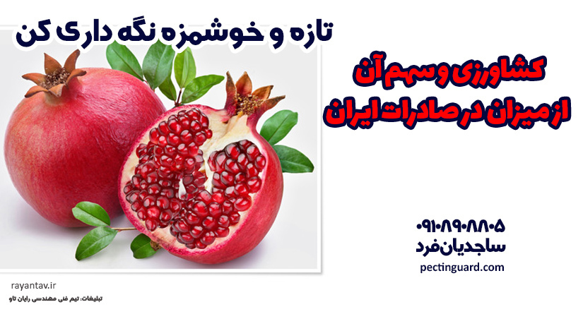 کشاورزی و سهم آن از میزان در صادرات ایران